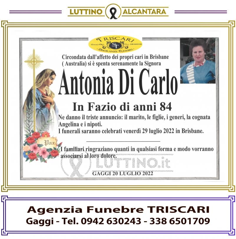 Antonia  Di Carlo 